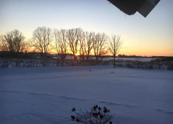 Сasa de vacaciones Reethaus Meerferien Direkt Am Wasser *